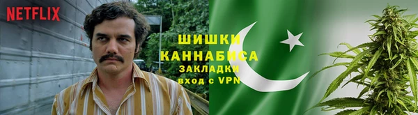 ПСИЛОЦИБИНОВЫЕ ГРИБЫ Лабытнанги