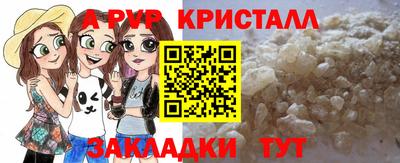 прущие грибы Гусиноозёрск