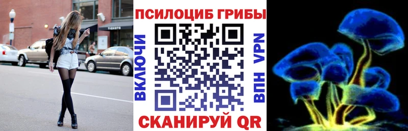 купить закладку  Гулькевичи  Псилоцибиновые грибы MAGIC MUSHROOMS 