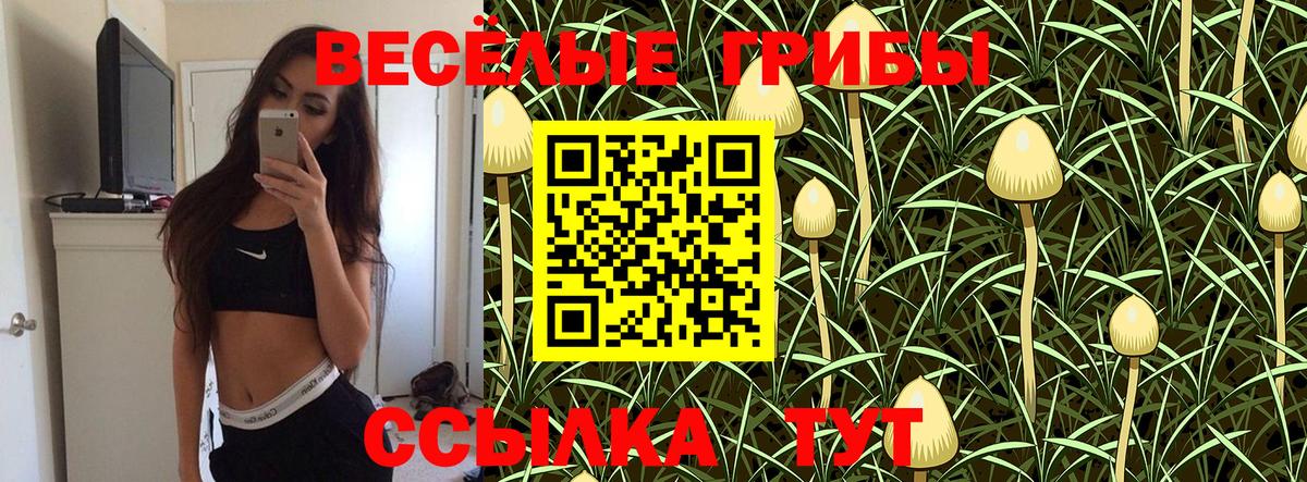 Псилоцибиновые грибы Psilocybe  хочу   Галлюциногенные грибы MAGIC MUSHROOMS  Гулькевичи 